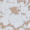 Makena Sequin Pencil Skirt