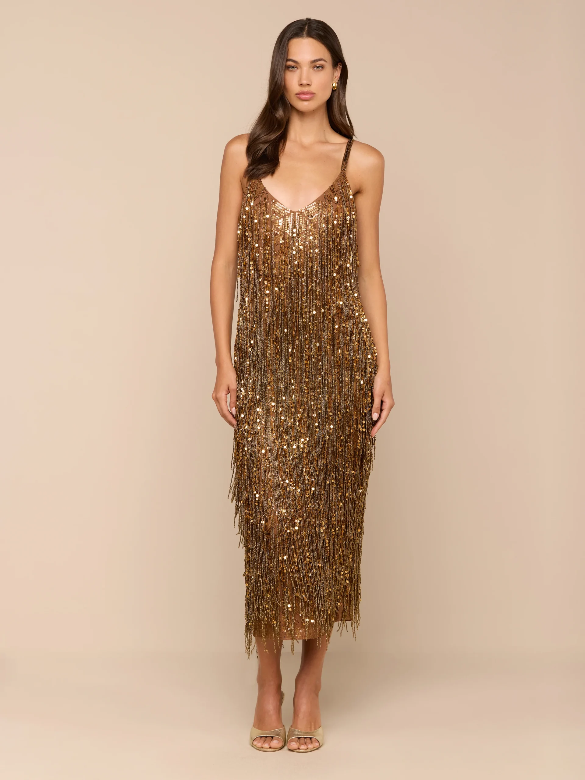 778-noella-sequin-fringe-dress-1.webp Noella Sequin Fringe Dress