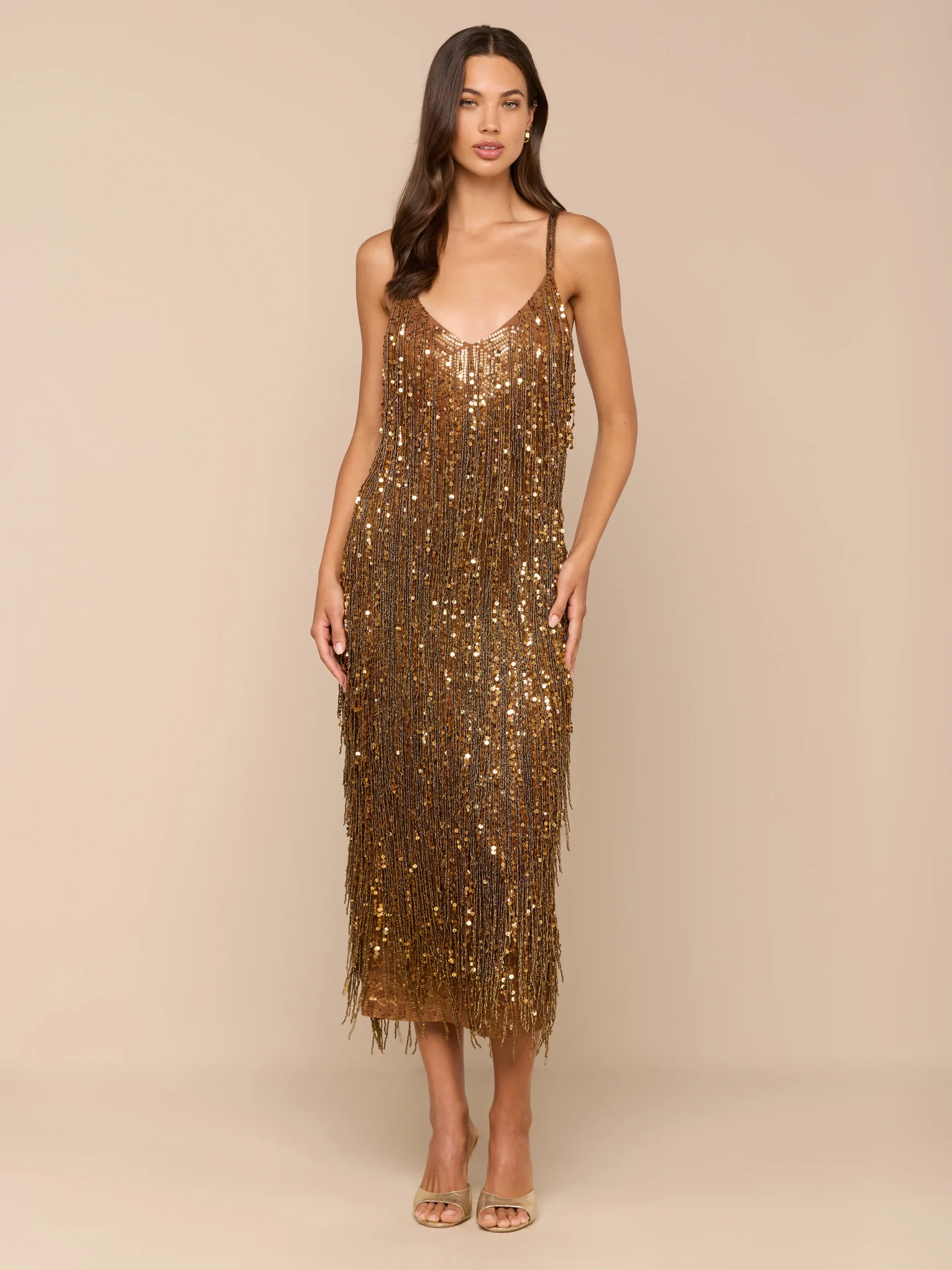 778-noella-sequin-fringe-dress-2.webp Noella Sequin Fringe Dress