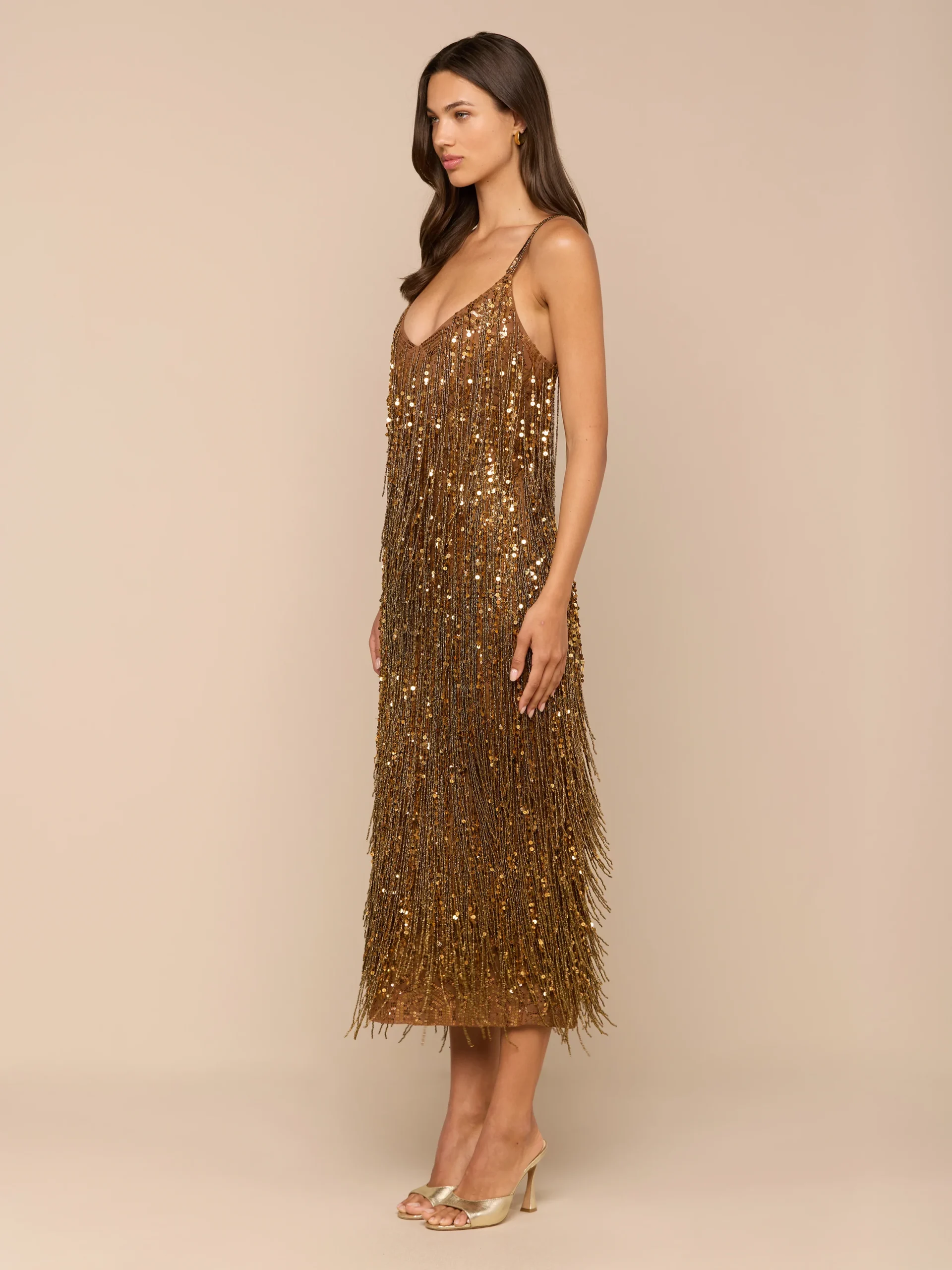 778-noella-sequin-fringe-dress-3.webp Noella Sequin Fringe Dress