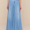 Dariela Wide-Leg Jean
