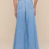 Dariela Wide-Leg Jean